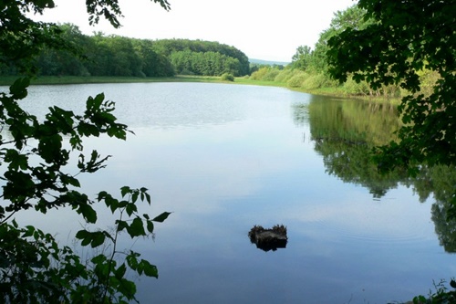 Spießweiher